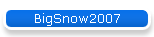 BigSnow2007